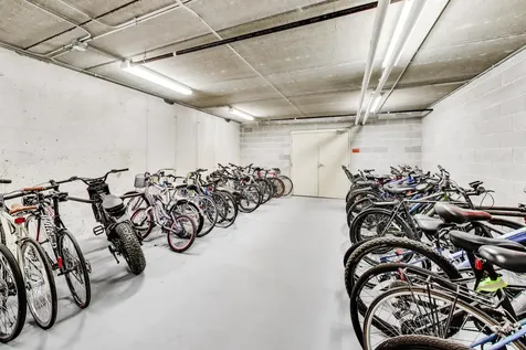 833 West 15th Place Chicago IL 60608