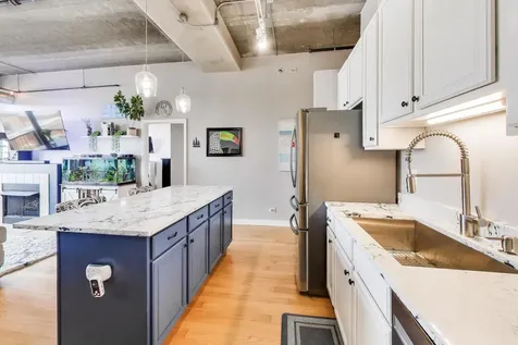 833 West 15th Place Chicago IL 60608