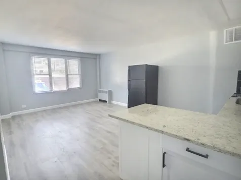 2610 West Balmoral Avenue Chicago IL 60625