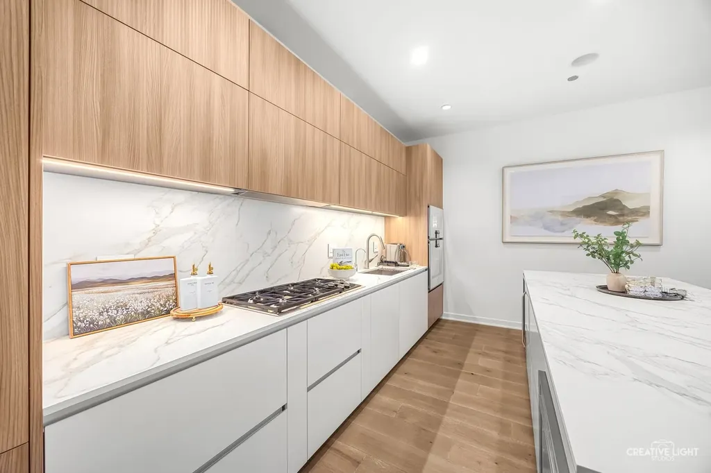 204 North Park Drive Chicago IL 60601