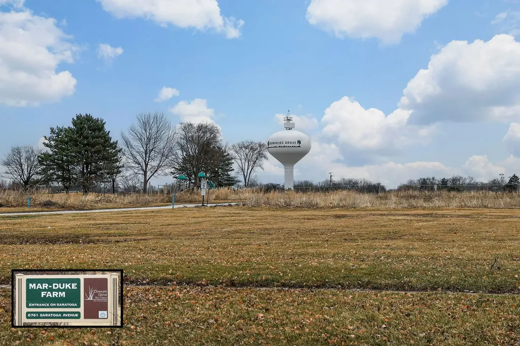 1051 68TH Street Downers Grove IL 60516