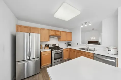 602 Holiday Lane Hainesville IL 60073