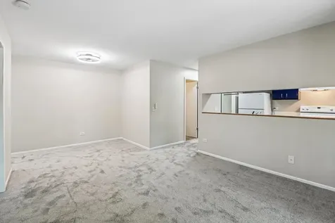 1319 North Winslowe Drive Palatine IL 60074
