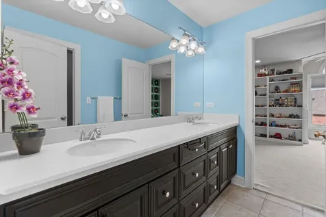 22322 North Prairie Court Kildeer IL 60047