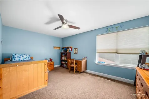 318 Winthrop Drive Oswego IL 60543
