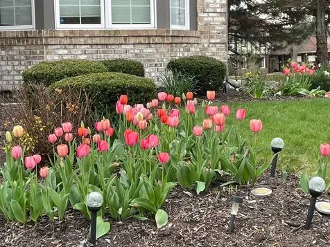 8629 Nancy Lane Orland Park IL 60462