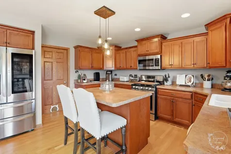 4974 West Cardinal Court Monee IL 60449