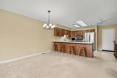 53 Village Woods Drive Crete IL 60417