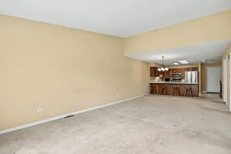 53 Village Woods Drive Crete IL 60417