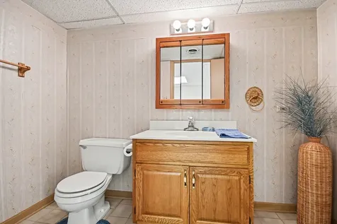 53 Village Woods Drive Crete IL 60417