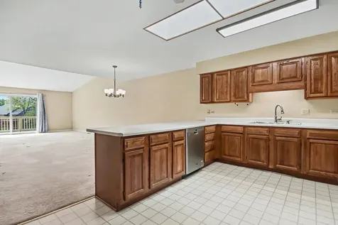 53 Village Woods Drive Crete IL 60417