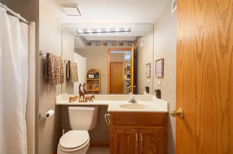 14337 South Provencal Drive Homer Glen IL 60491