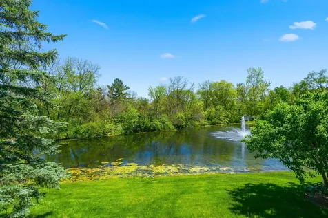 14337 South Provencal Drive Homer Glen IL 60491