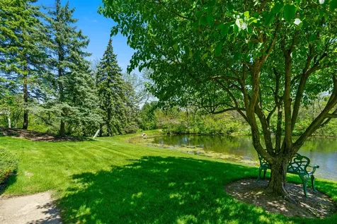 14337 South Provencal Drive Homer Glen IL 60491