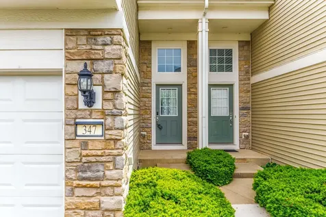 347 Devoe Drive Oswego IL 60543