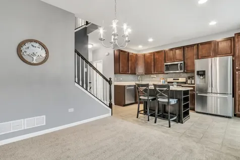 297 Lionel Drive Grayslake IL 60030