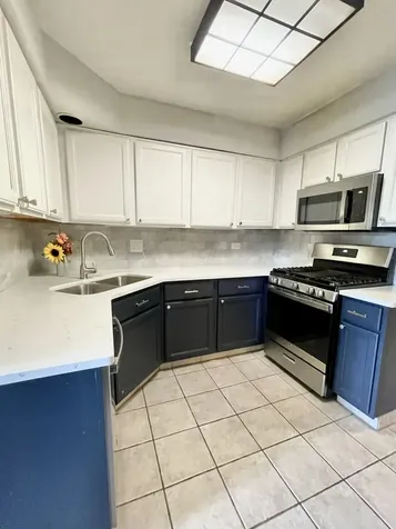 110 Bent Creek Court Palatine IL 60067