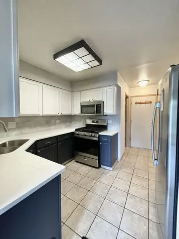 110 Bent Creek Court Palatine IL 60067