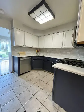 110 Bent Creek Court Palatine IL 60067