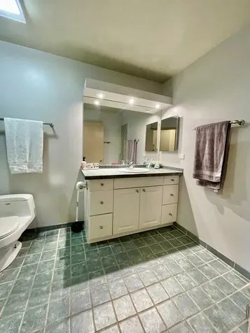 110 Bent Creek Court Palatine IL 60067