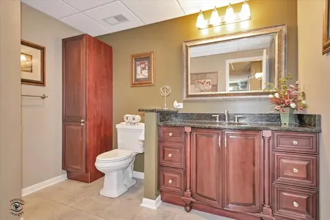 9349 Bundoran Drive Orland Park IL 60462