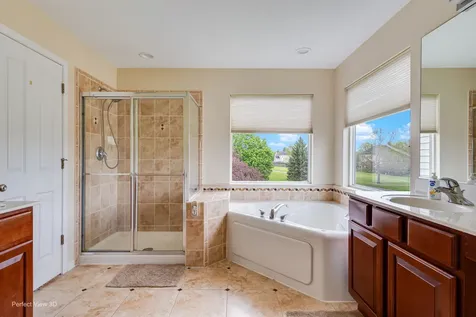 26602 Grande Poplar Court Plainfield IL 60585
