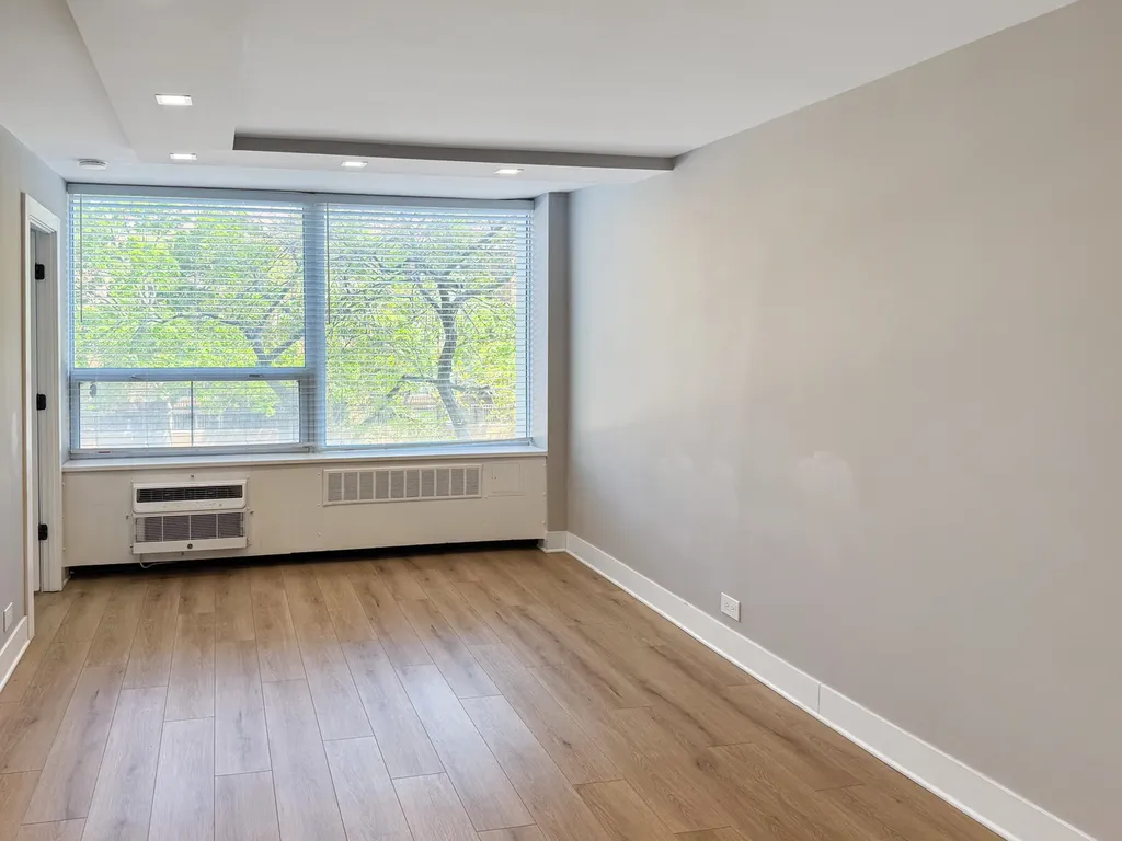 1355 North Sandburg Terrace Chicago IL 60610