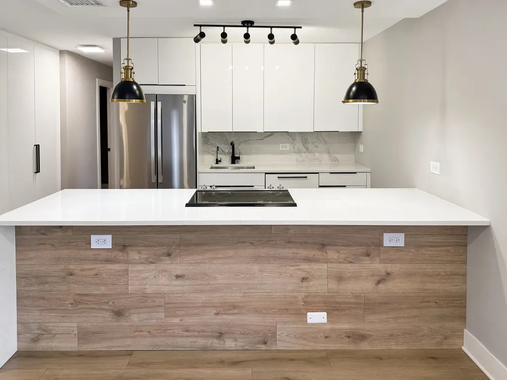 1355 North Sandburg Terrace Chicago IL 60610