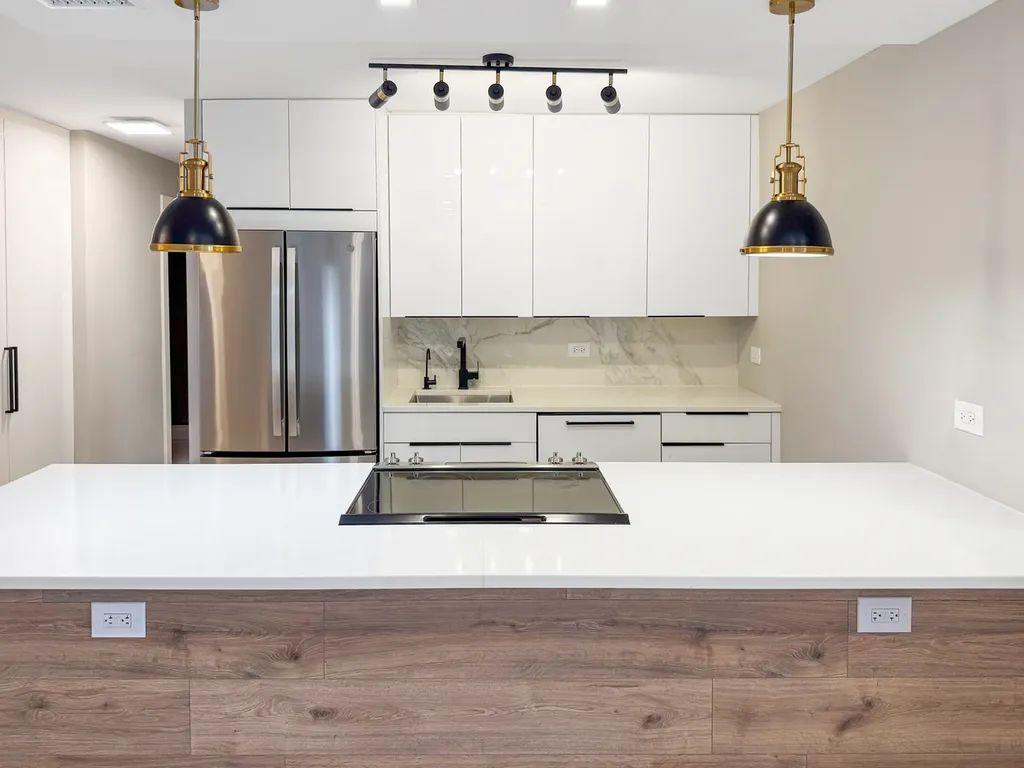 1355 North Sandburg Terrace Chicago IL 60610