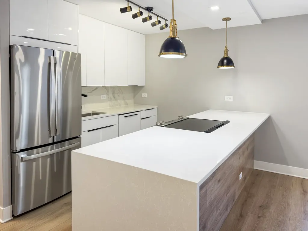 1355 North Sandburg Terrace Chicago IL 60610