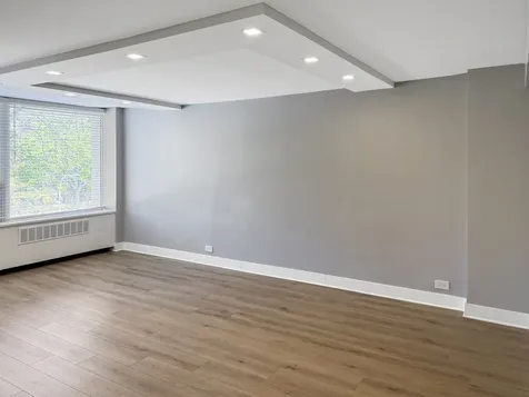 1355 North Sandburg Terrace Chicago IL 60610