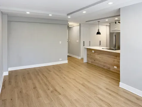 1355 North Sandburg Terrace Chicago IL 60610