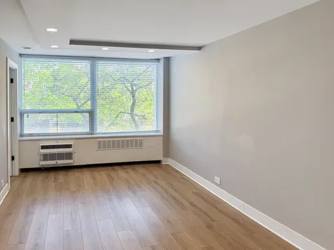 1355 North Sandburg Terrace Chicago IL 60610