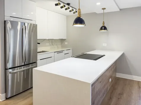 1355 North Sandburg Terrace Chicago IL 60610