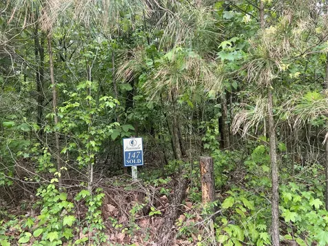 Lot 147 Parrish Ridge Goreville IL 62939