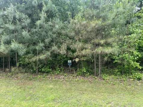 Lot 147 Parrish Ridge Goreville IL 62939