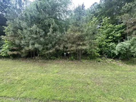 Lot 147 Parrish Ridge Goreville IL 62939