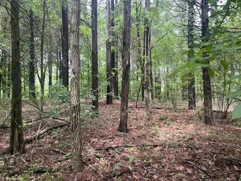 Lot 147 Parrish Ridge Goreville IL 62939