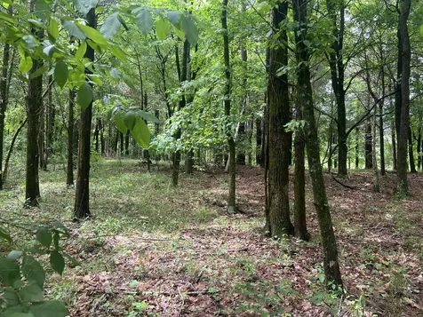 Lot 147 Parrish Ridge Goreville IL 62939