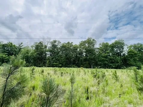 Lot 147 Parrish Ridge Goreville IL 62939