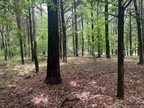 Lot 147 Parrish Ridge Goreville IL 62939