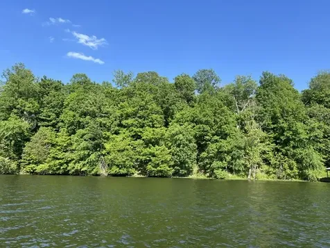 Lot 147 Parrish Ridge Goreville IL 62939