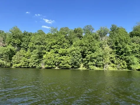 Lot 147 Parrish Ridge Goreville IL 62939