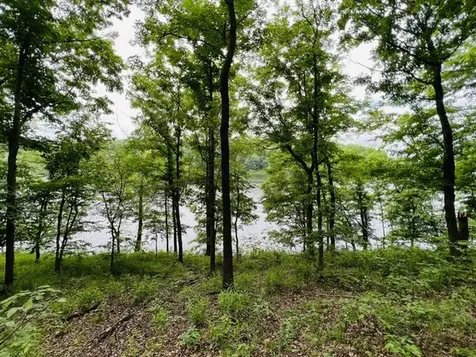 Lot 147 Parrish Ridge Goreville IL 62939