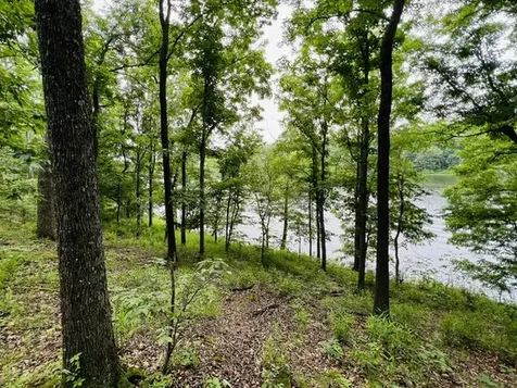Lot 147 Parrish Ridge Goreville IL 62939