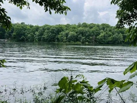 Lot 147 Parrish Ridge Goreville IL 62939