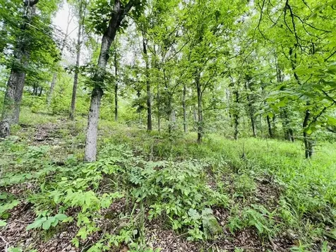 Lot 147 Parrish Ridge Goreville IL 62939