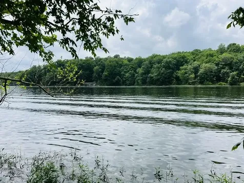 Lot 147 Parrish Ridge Goreville IL 62939