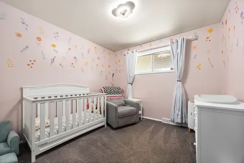 16466 Terry Lane Oak Forest IL 60452