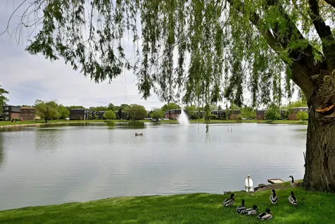 9442 Bay Colony Drive Des Plaines IL 60016